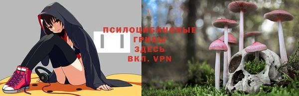 mdma Верхний Тагил