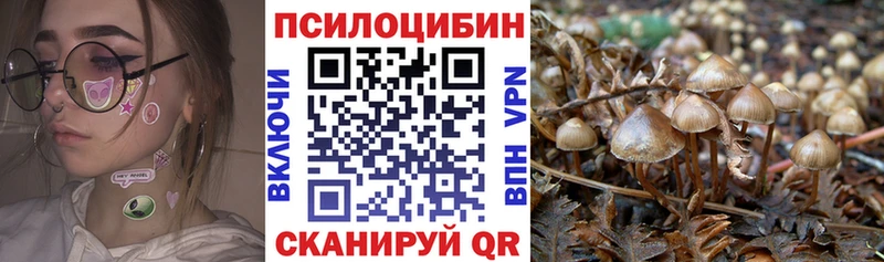 Псилоцибиновые грибы мицелий Купить закладки Краснознаменск
