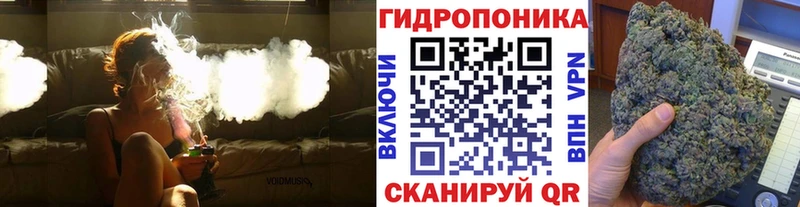 Купить закладки  Краснознаменск  Бошки марихуана Ganja 
